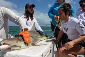 ocean conservation club