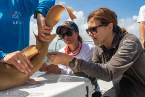 ocean conservation club